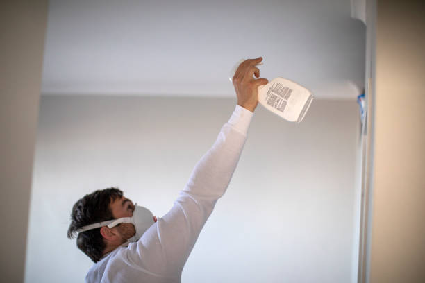 Best Residential Mold Remediation in La Cienega, NM