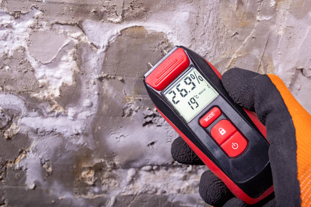 Best Emergency Mold Remediation in La Cienega, NM