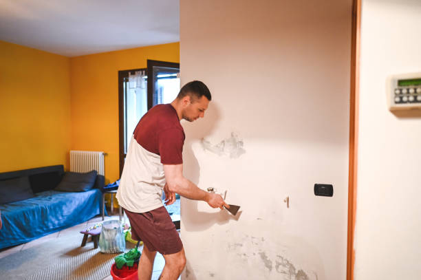 Best Post-Remediation Services in La Cienega, NM